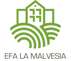 Campus Virtual - EFA La Malvesia