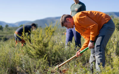 La EFA La Malvesía y Hasbro Iberia reforestan la zona de ‘Tres Pins’ de Catadau