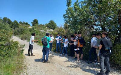 La Fundación FIRE forma a los alumnos de la EFA La Malvesía en el diseño de estructuras lineales vegetales