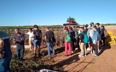 Profesores y alumnos de la EAMN (Escuela Técnica Superior de Ingeniería Agronómica y del Medio Natural: UPV) participan en el proyecto de Varietats Tradicionals Valencianes