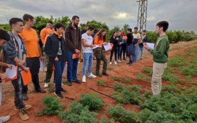 Alumnos y profesores de la EFA La Malvesía participan en el proyecto de recuperación de las variedades tradicionales valencianas