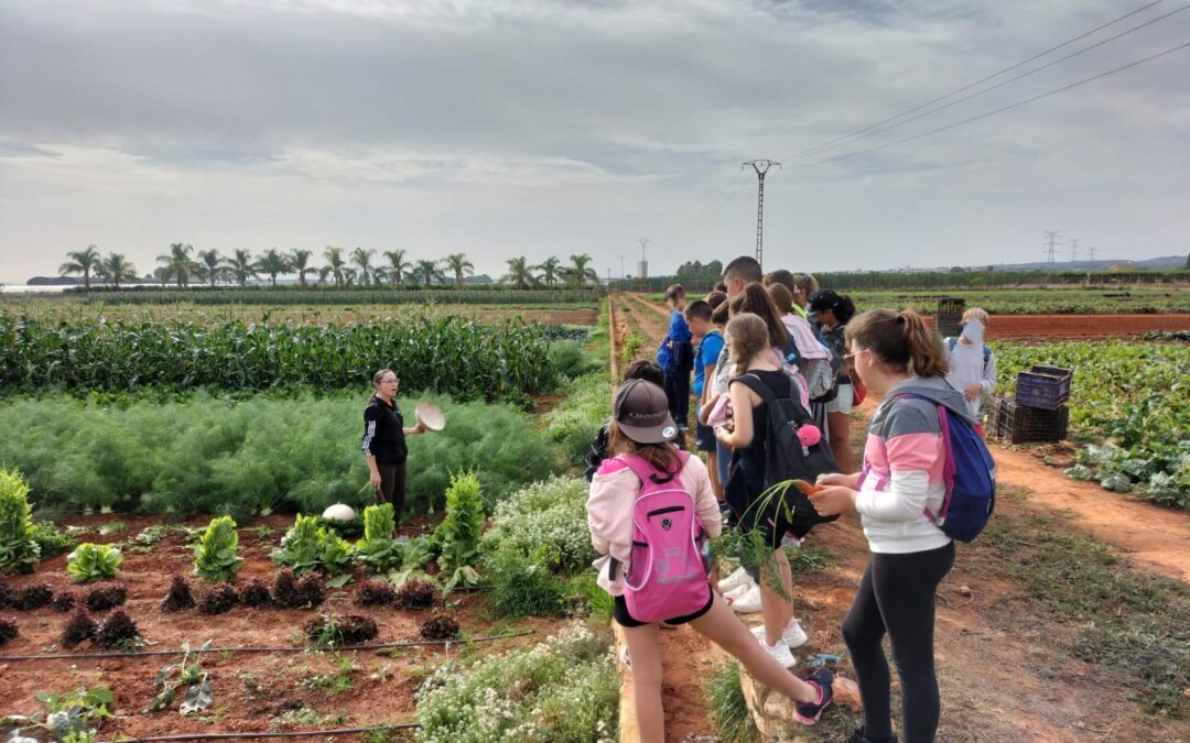 El colegio Miguel de Cervantes de Catadau aprende la importancia de mantener las variedades tradicionales valencianas