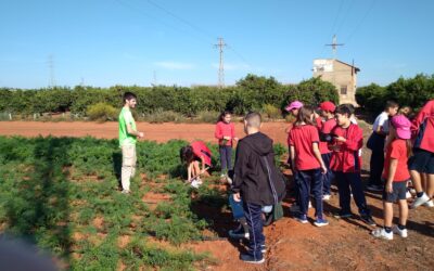 El colegio San Antonio de Padua de Catarroja descubre las variedades tradicionales valencianas