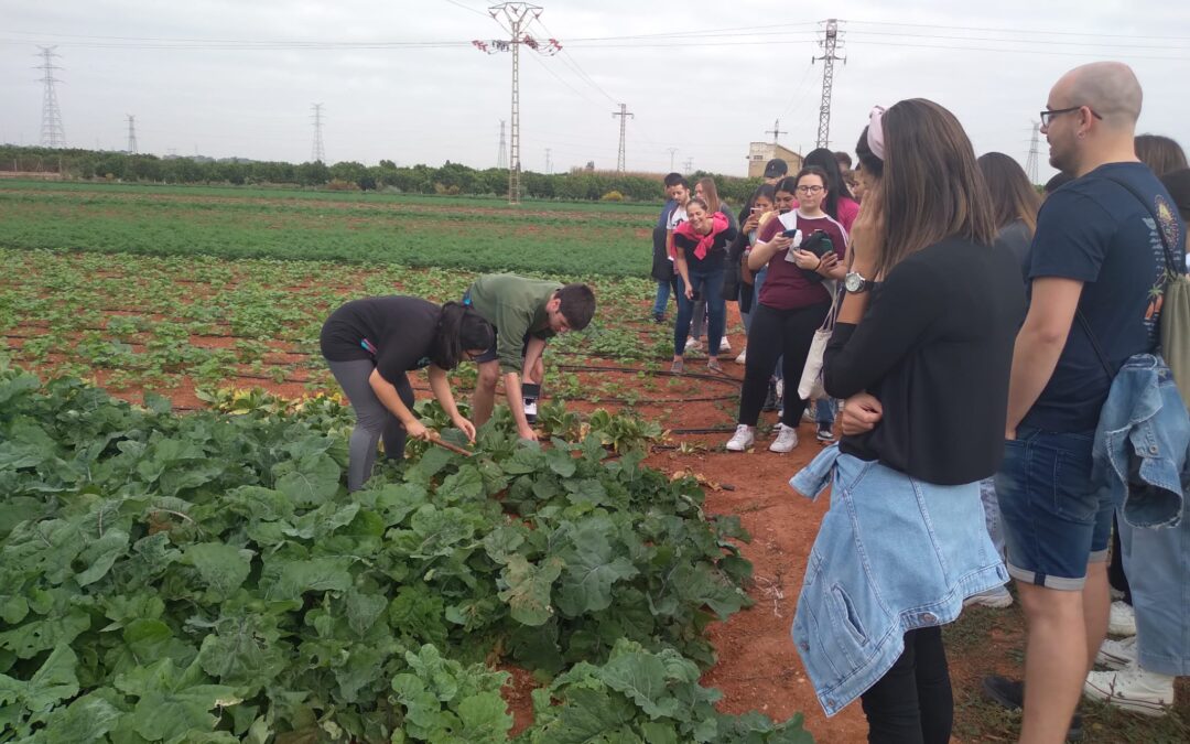 Alumnos y profesores del centro de Formación Profesional Altaviana de València conocen de cerca las variedades tradicionales valencianas