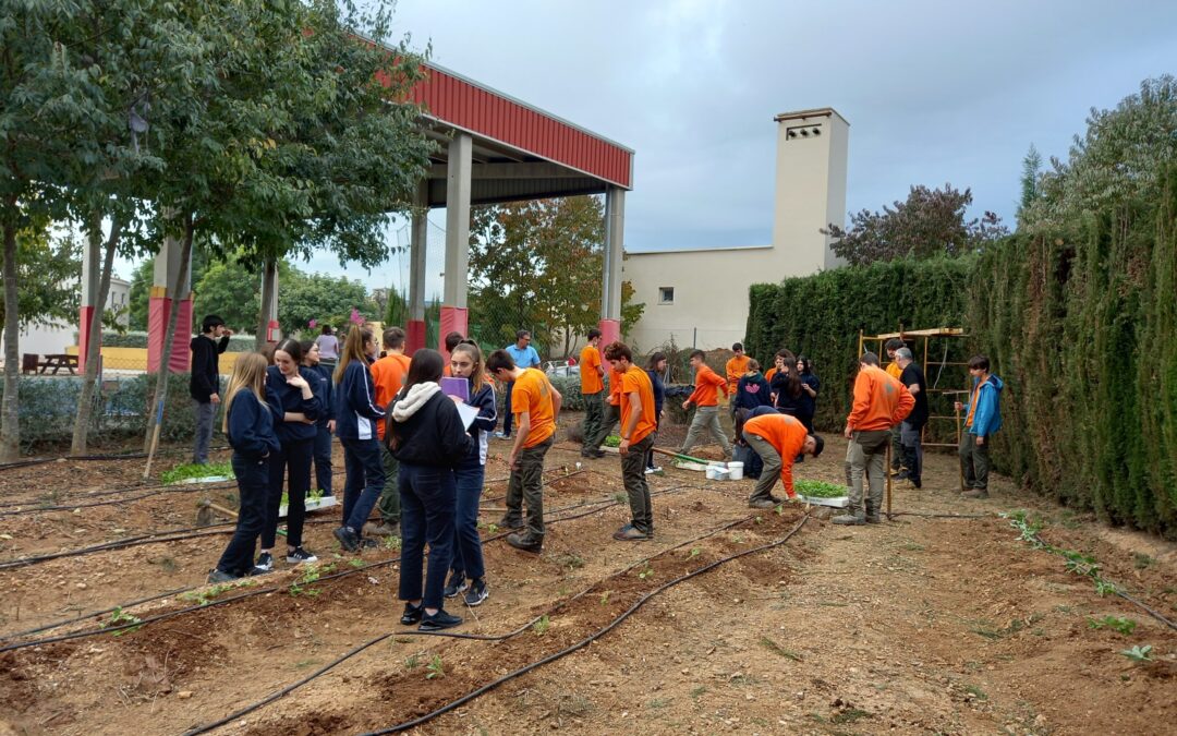 La EFA La Malvesía i la EFA Torrealedua unides per les varietats tradicionals valencianes