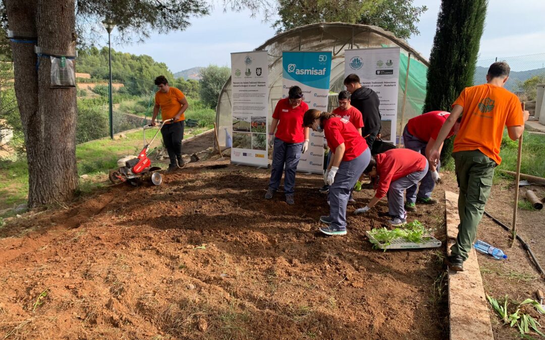 La EFA La Malvesía echa raíces de las variedades tradicionales valencianas en el huerto de Asmisaf