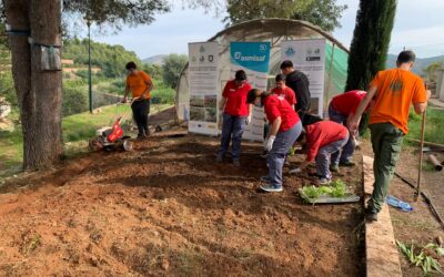 La EFA La Malvesía echa raíces de las variedades tradicionales valencianas en el huerto de Asmisaf