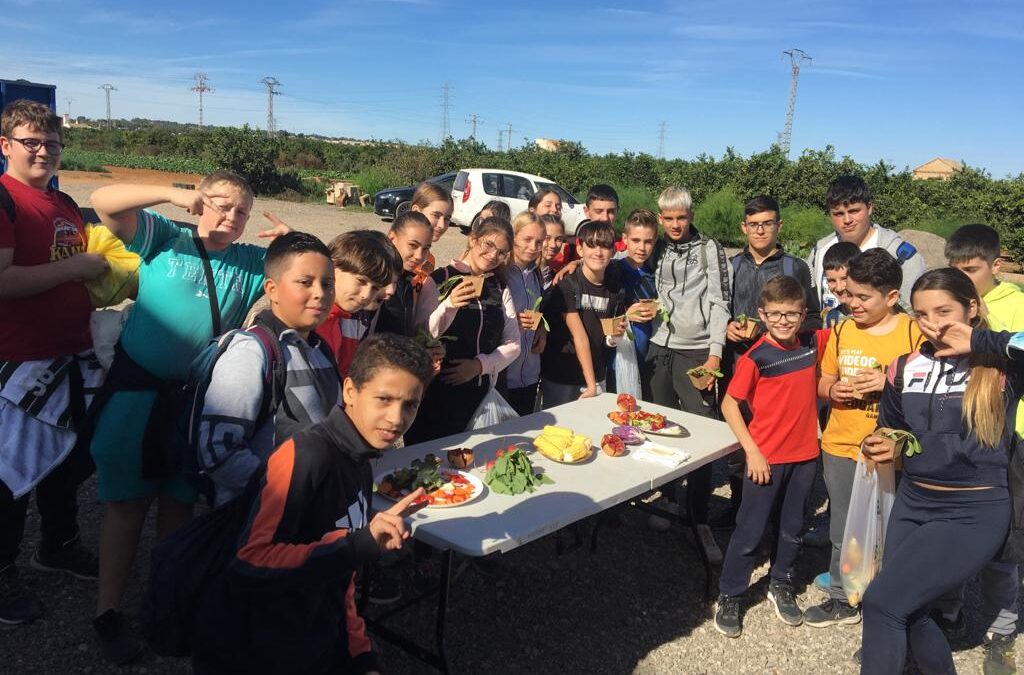 La safanòria morada, gran protagonista en la visita dels alumnes de l’IES 9 d’Octubre de Carlet