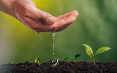 Los centros de formación profesional EFAS y CaixaBank Dualiza formarán a 400 profesionales de nueve CCAA en el uso sostenible del agua en la agricultura