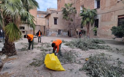 Los alumnos de FP Básica de la EFA La Malvesía trabajan en la poda del Real Monasterio de la Santísima Trinidad de València