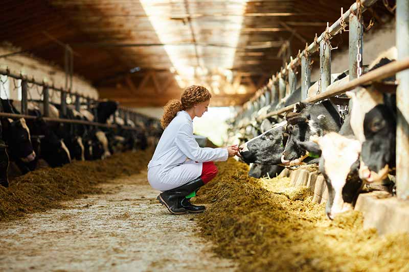 alta empleabilidad en el medio rural