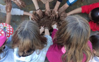 La EFA La Malvesía ofrece talleres de cetrería  y botánica en Alberic